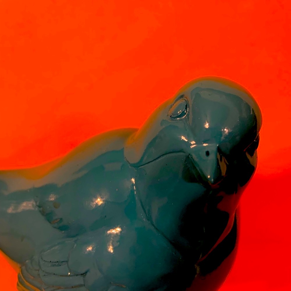 Blue Bird